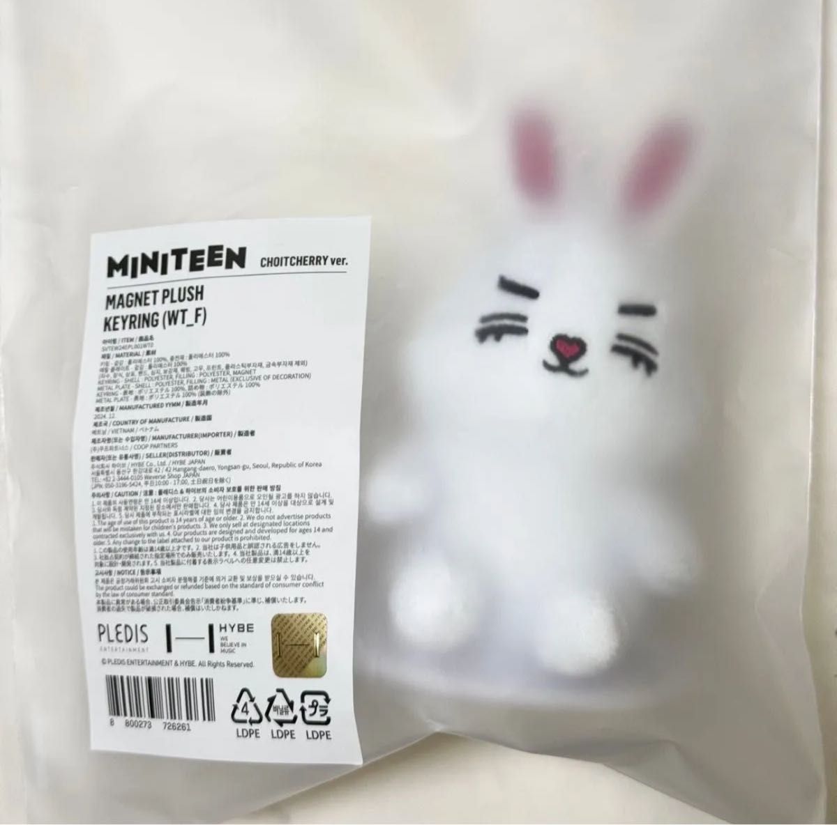 seventeen ミニティーン miniteen エスクプス チェチェリ マグネット