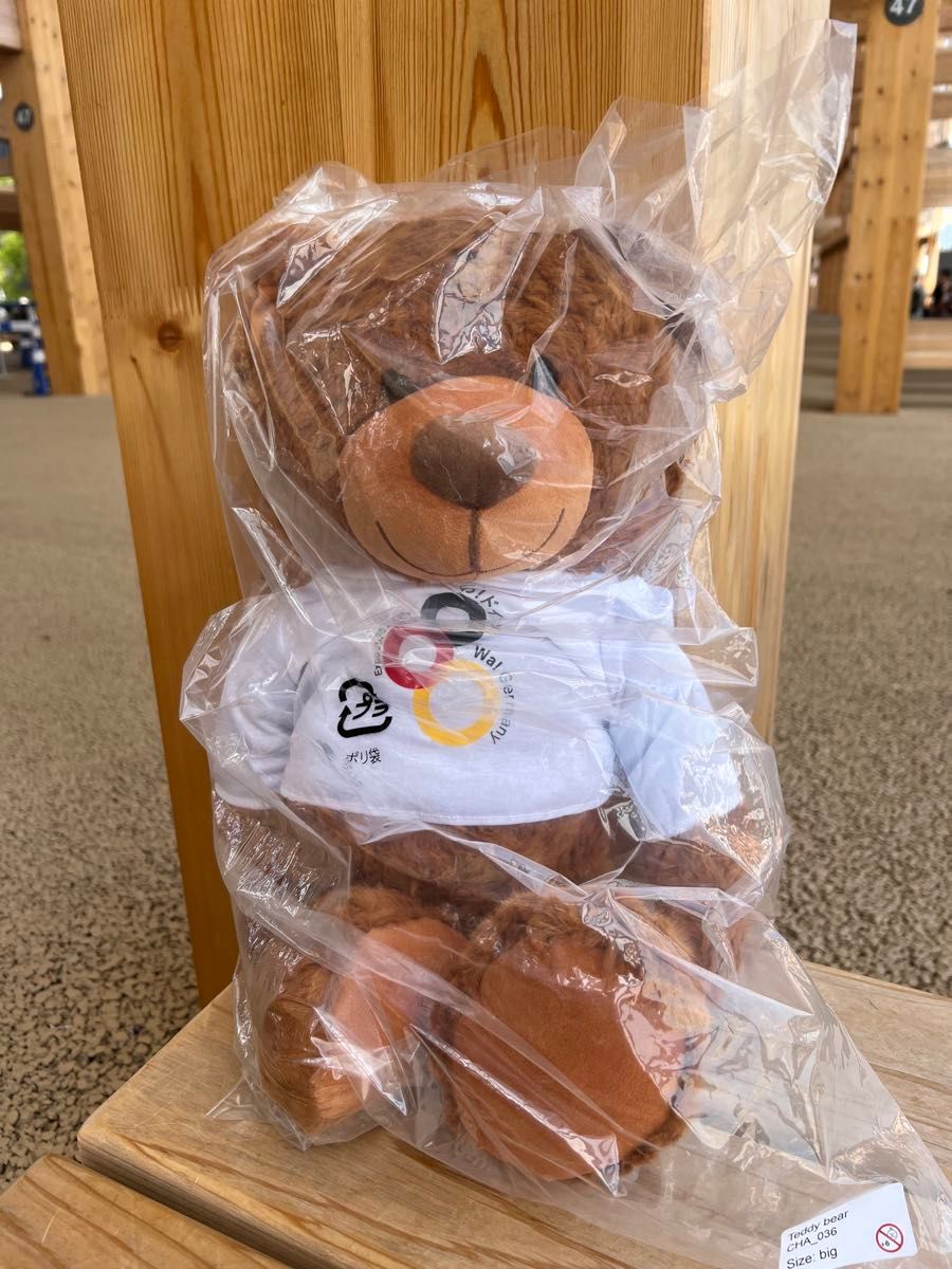 ドイツ館限定 大阪関西万博 テディベア 大 ぬいぐるみ わ ドイツ