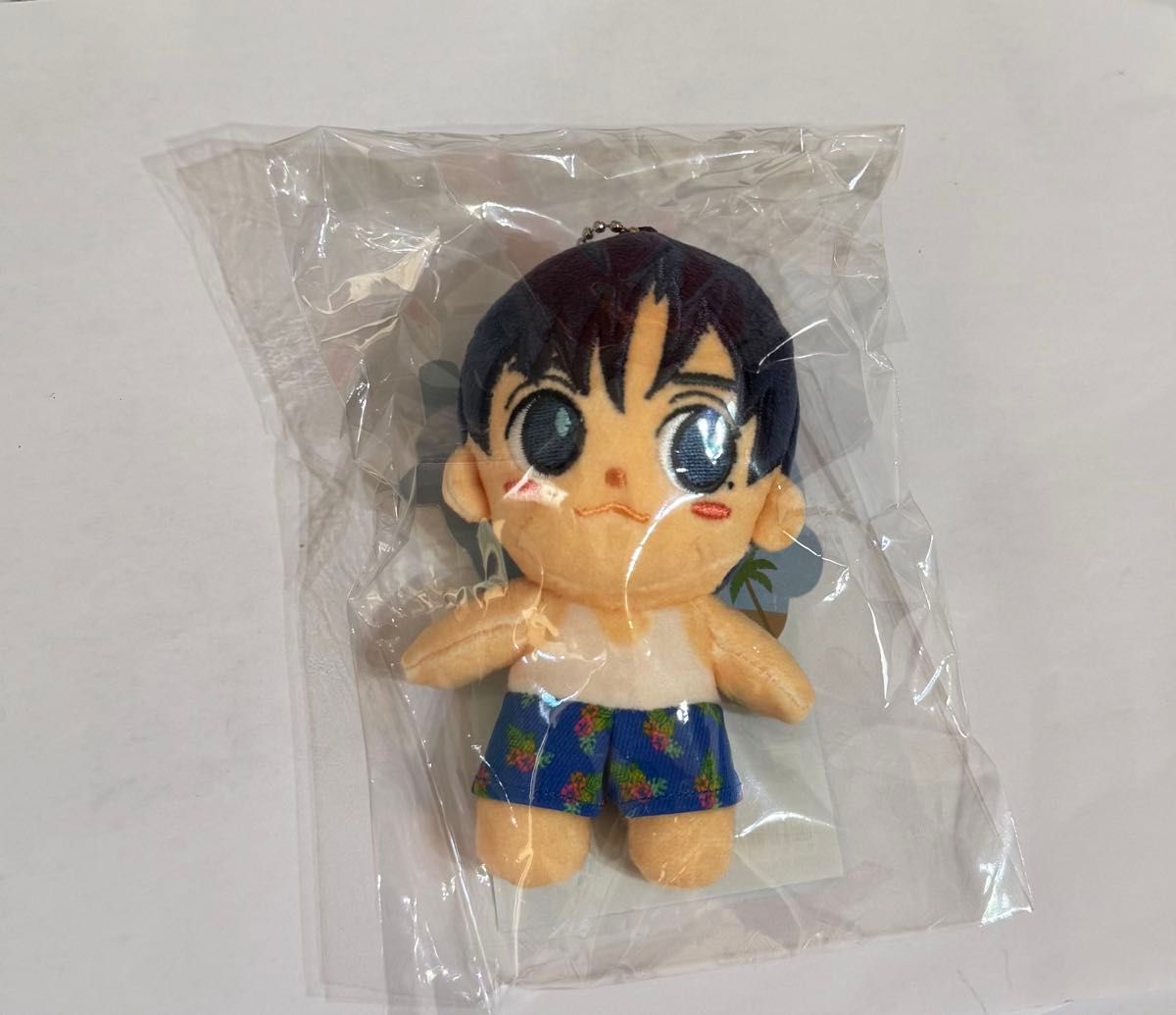 CNBLUE MINIBLUE ミニヨン(MINIYONG)ぬいぐるみ CNBLUE MINIBLUE