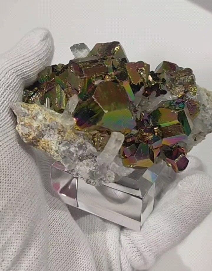 コレクター向】レインボーパイライト 水晶クラスター 共生