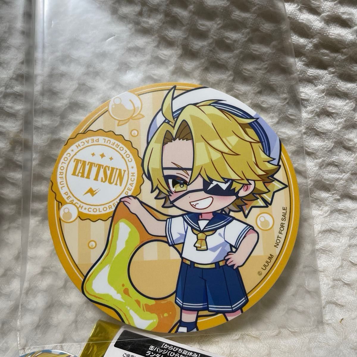 カラフルピーチ ひらかたパーク 入場特典 チケット風カード たっつん