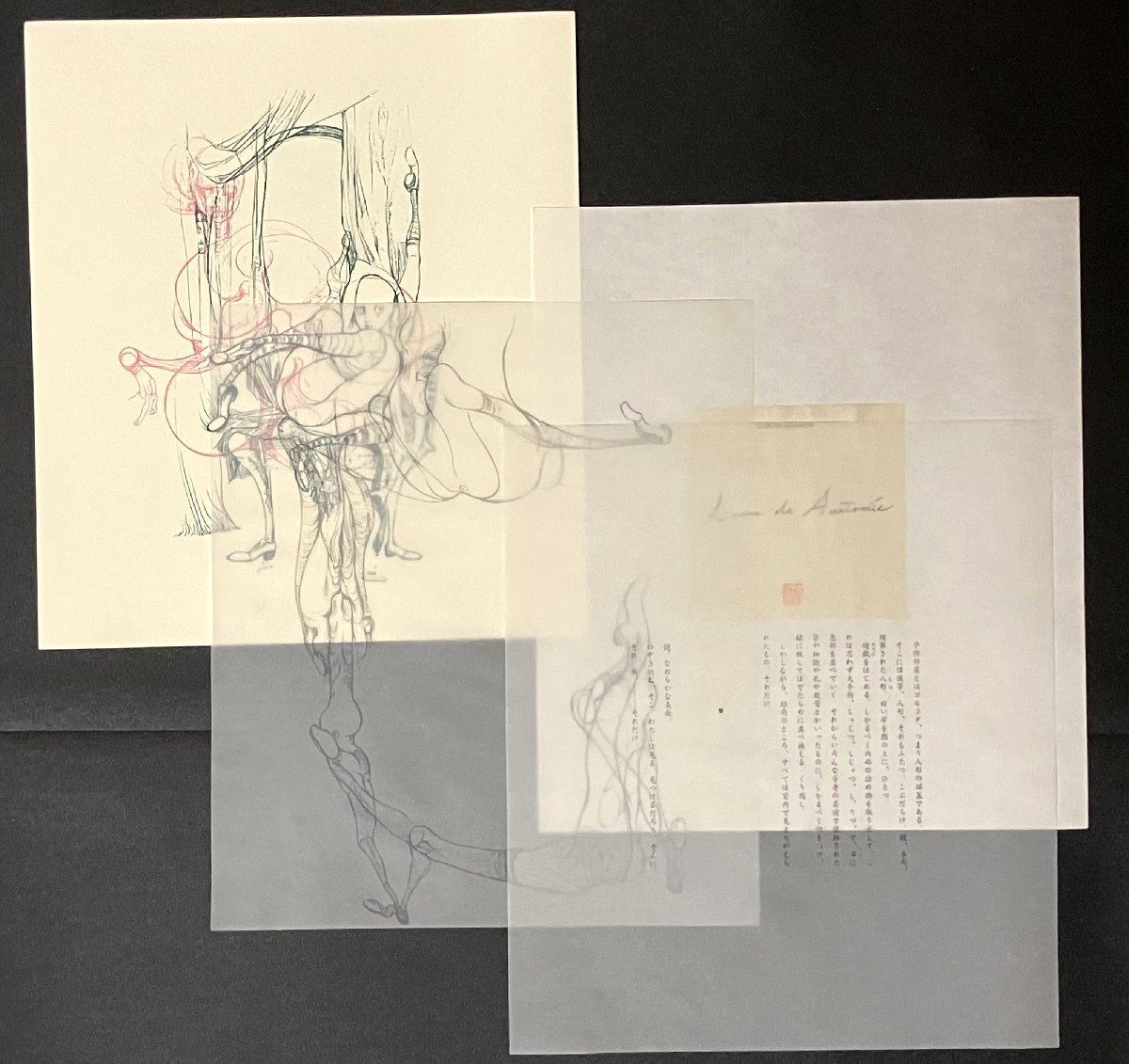 解剖学の授業 Lecon de Anatomie 重松成美