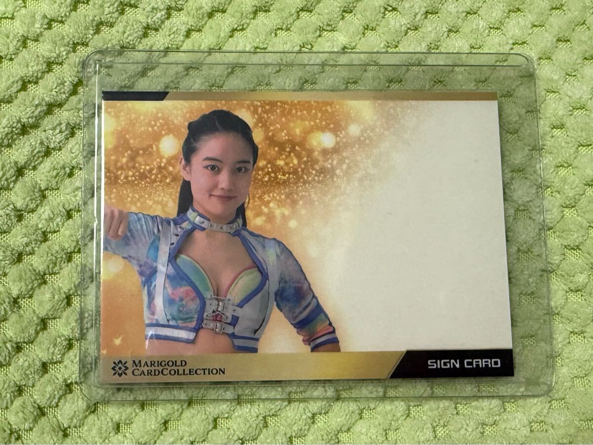 山田奈保 マリーゴールド エラーカード 直筆サイン無しカード MARIGOLD