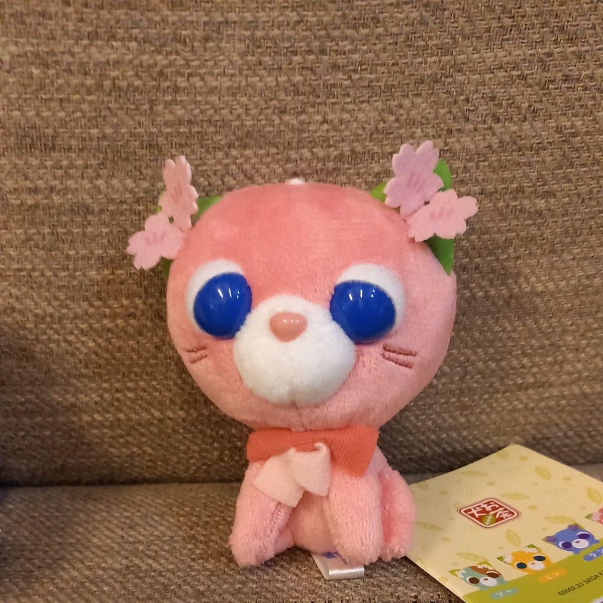 お茶犬 お茶猫 全4種コンプリートセット｜Yahoo!フリマ（旧PayPayフリマ）