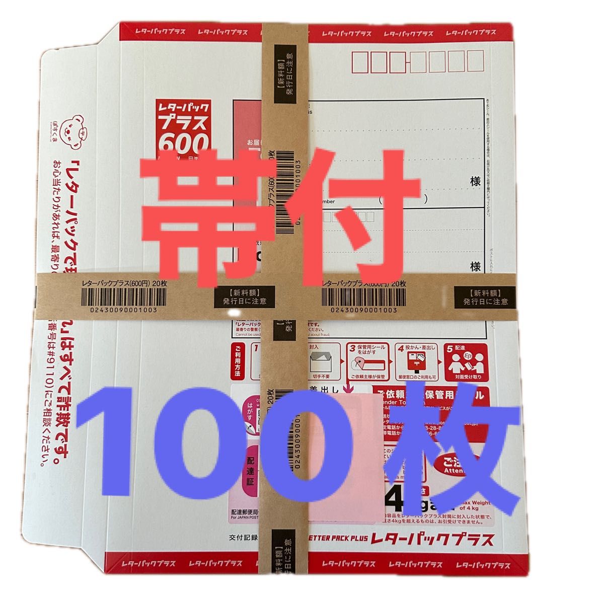 レターパックプラス A4ファイルサイズ 50枚 レターパックプラス A4