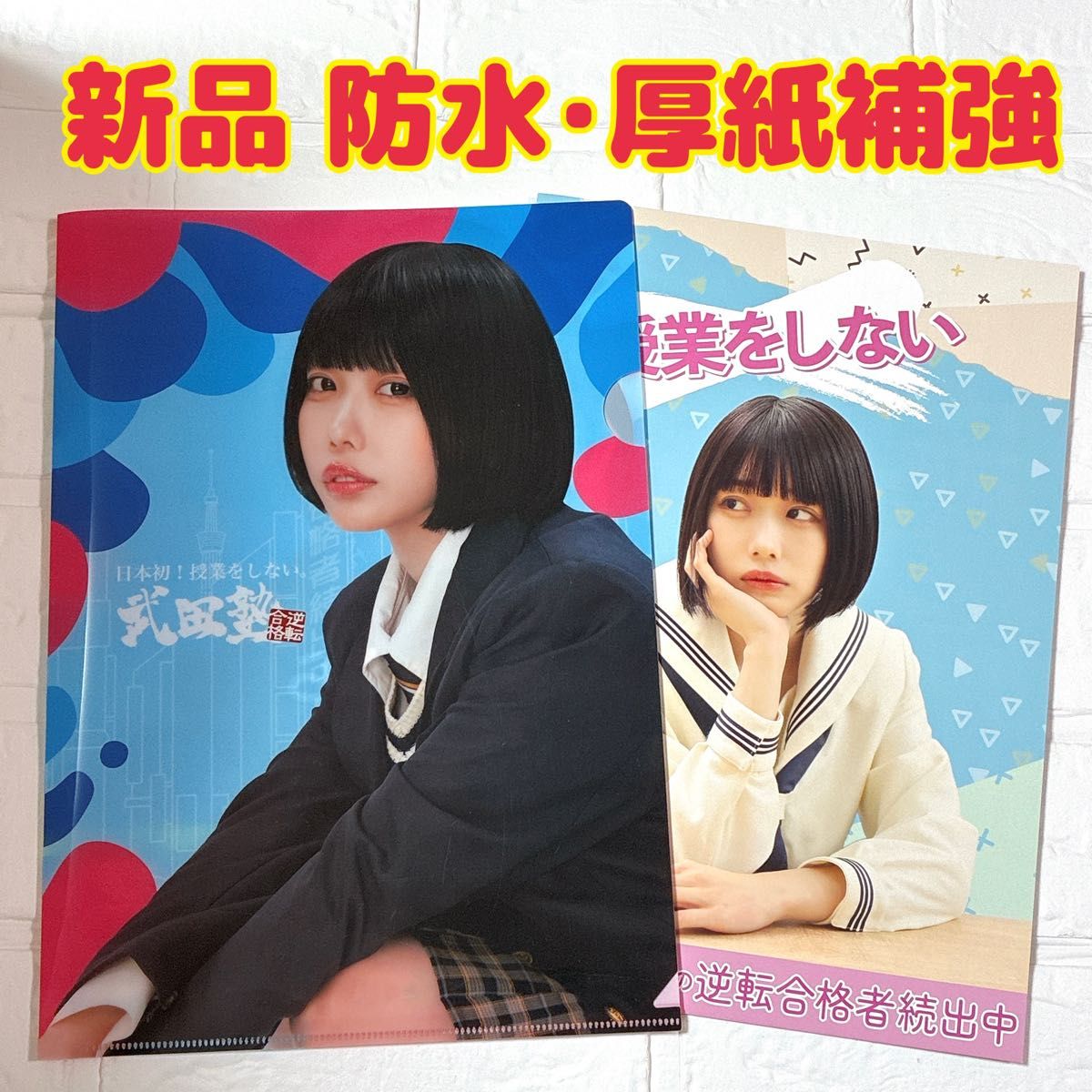 あのちゃん 武田塾 クリアファイル パンフレット あの ANO×TAKEDA