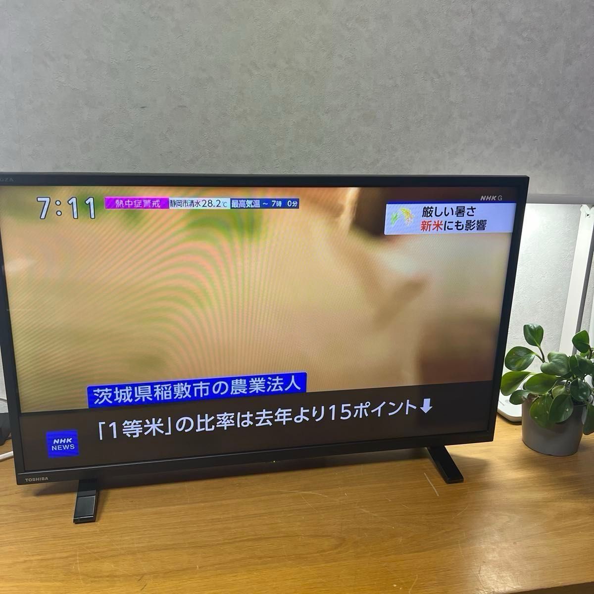 2024年製 東芝 レグザ 32S24 REGZA 32型 テレビ｜Yahoo!フリマ（旧