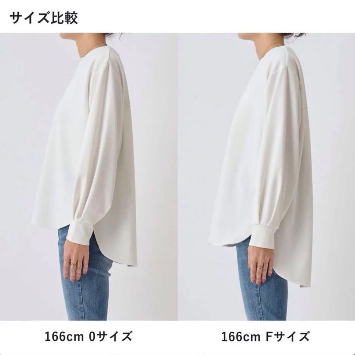 定番 タグ付き新品 BEARDSLEY ビアズリー Tブラウス シャツブラウス