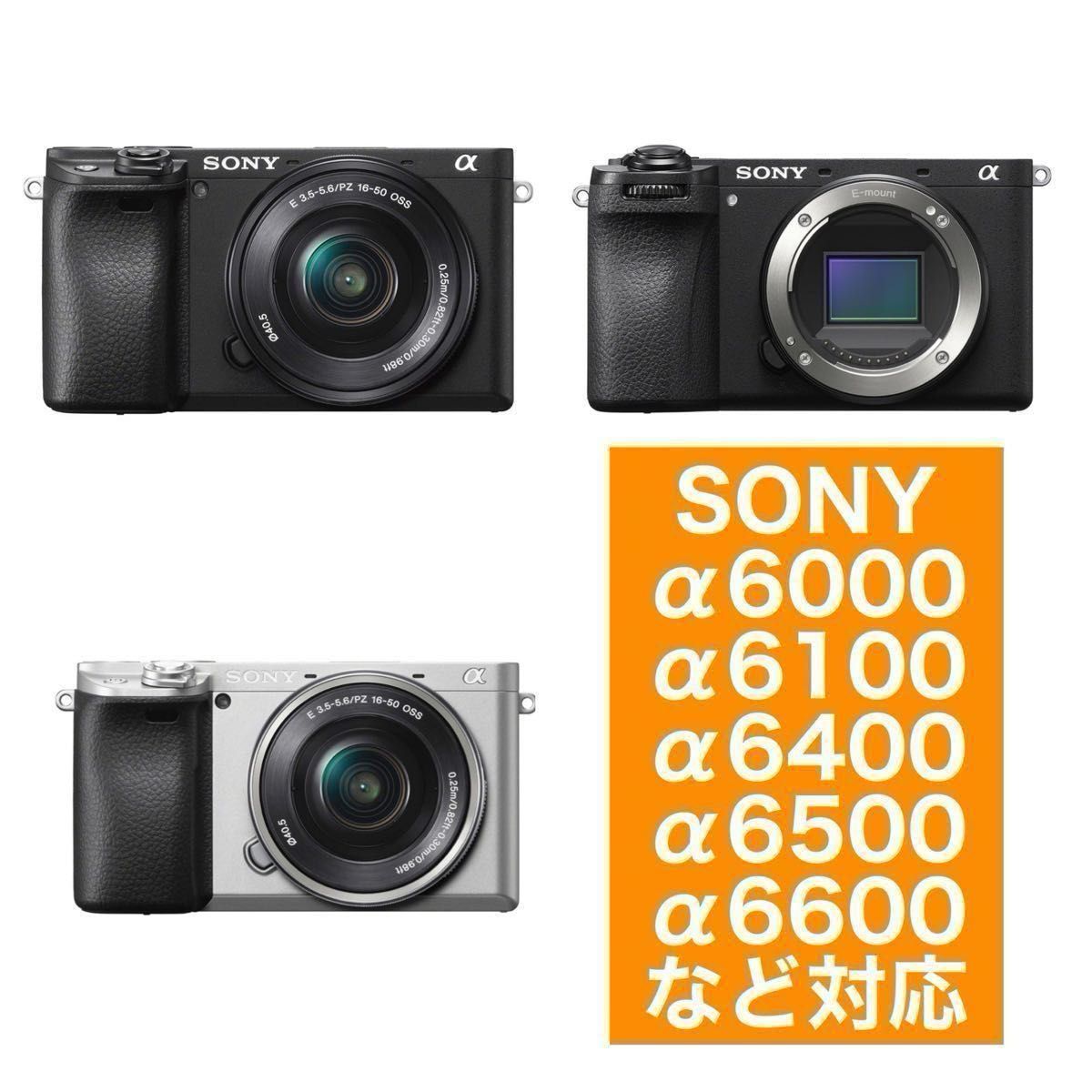 SONYミラーレス対応 スーパーズームレンズ 遠くの被写体を撮影する