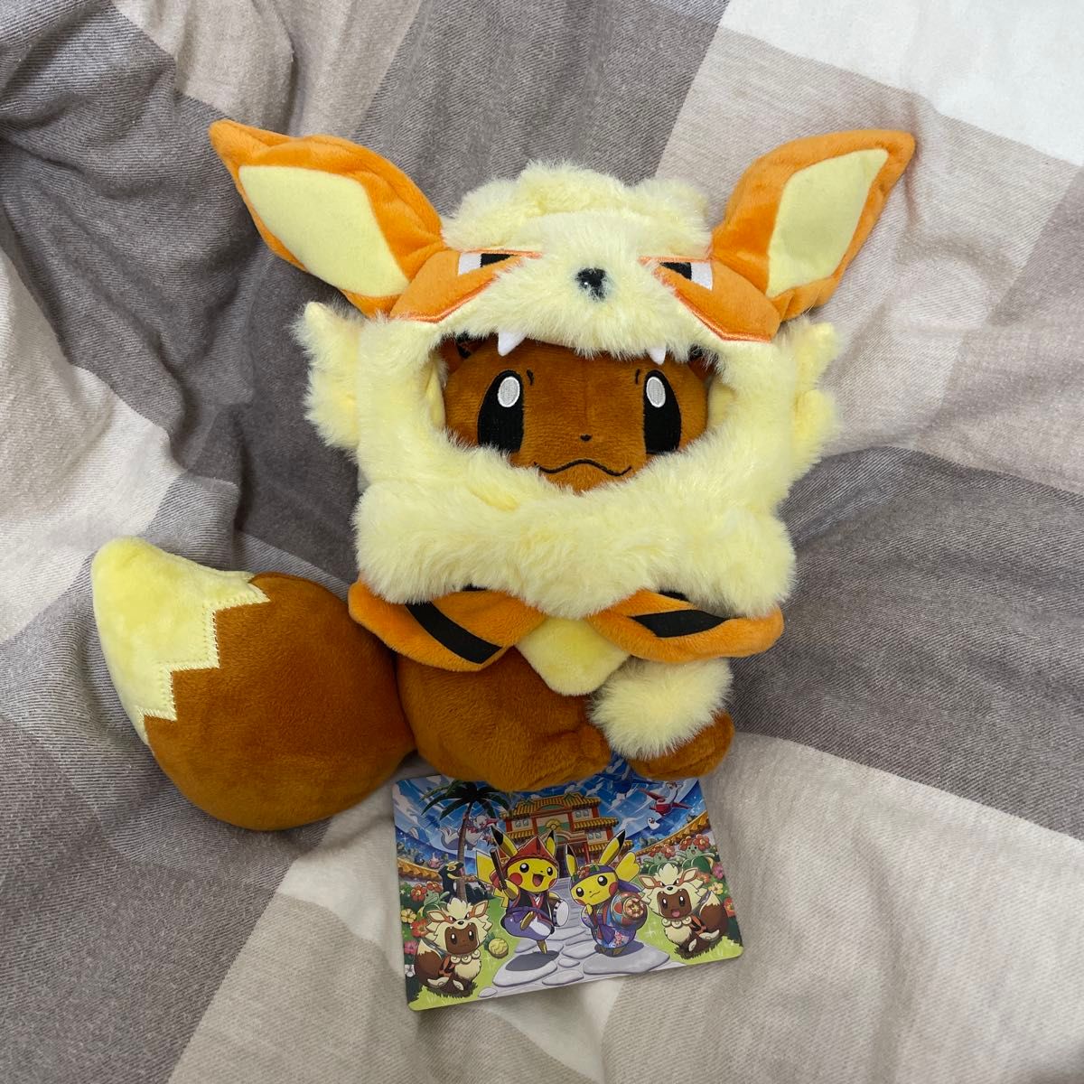 ウィンディポンチョのイーブイ ノーマル ぬいぐるみ ポケモンセンター