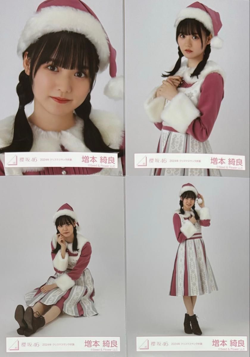 櫻坂 櫻坂46 生写真 クリスマスサンタ衣装 2024年 増本綺良 コンプ