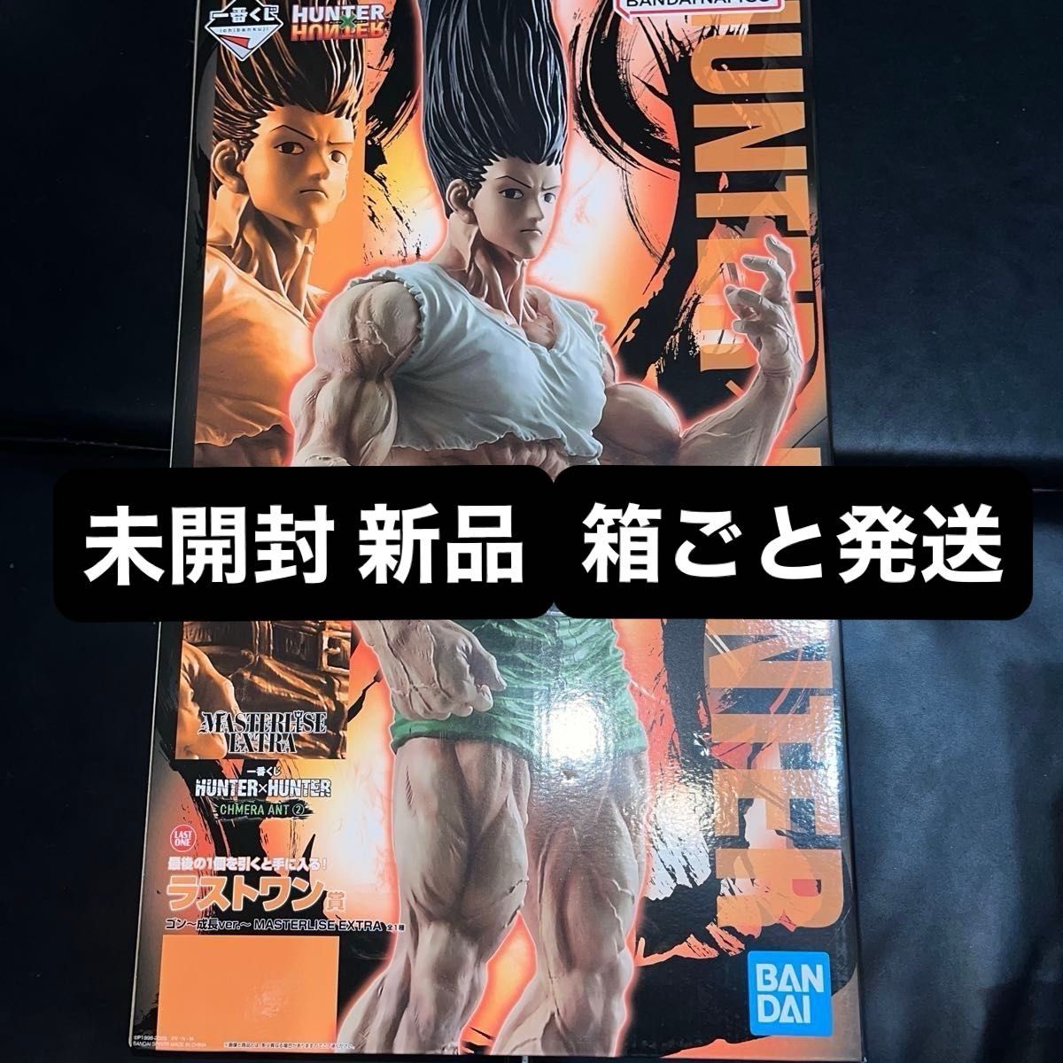 HUNTER×HUNTER 一番くじ ハンターハンター ラストワン賞 ゴンさん ゴン