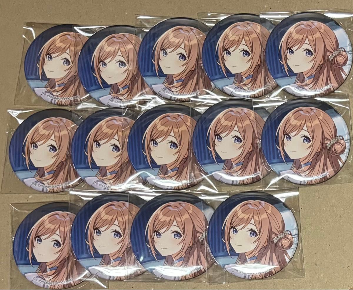 姫崎莉波 初心公演 缶バッジ 25個セット 姫崎莉波 初心公演 缶