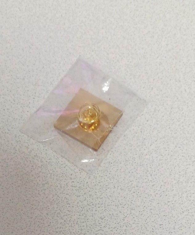 レア非売品】大阪関西万博 ペルーパビリオン スタッフピンバッチ