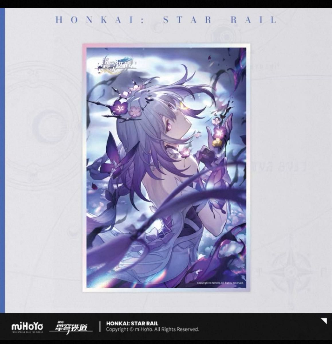 新品未開封 崩壊スターレイル 公式 光円錐アクリル色紙 キャストリス