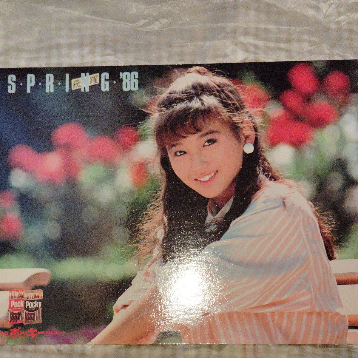 本田美奈子 さん グリコ製品荷姿一覧表 ポッキー SPRING '86｜Yahoo
