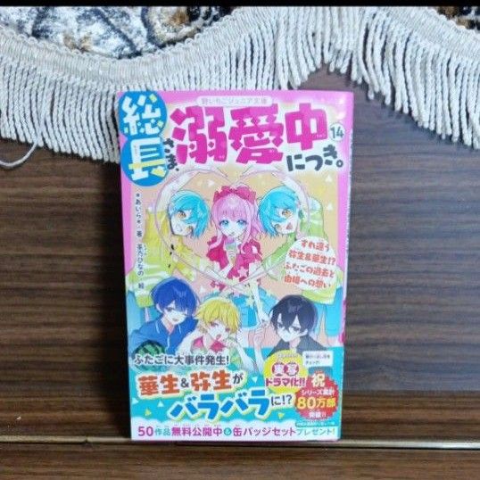 総長さま 溺愛中につき 新刊 14巻 野いちごジュニア文庫 あいら 茶乃