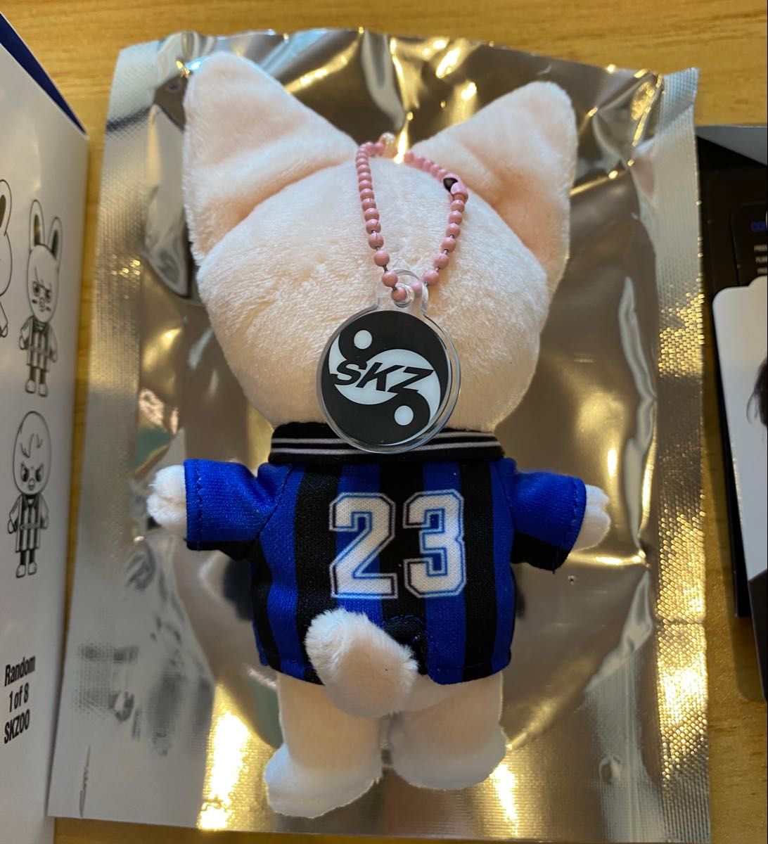 stray kids スキズ KARMA skzoo ver FoxI Ny アイエン 封入トレカ8人