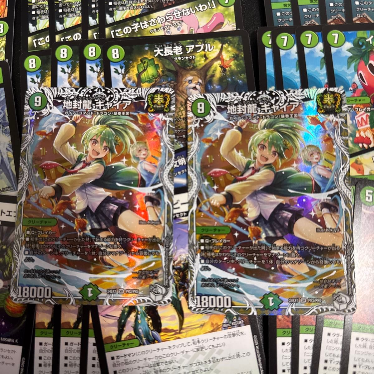 値下げ交渉可）緑単キャベッジ グランセクト 値下げ交渉可）緑単