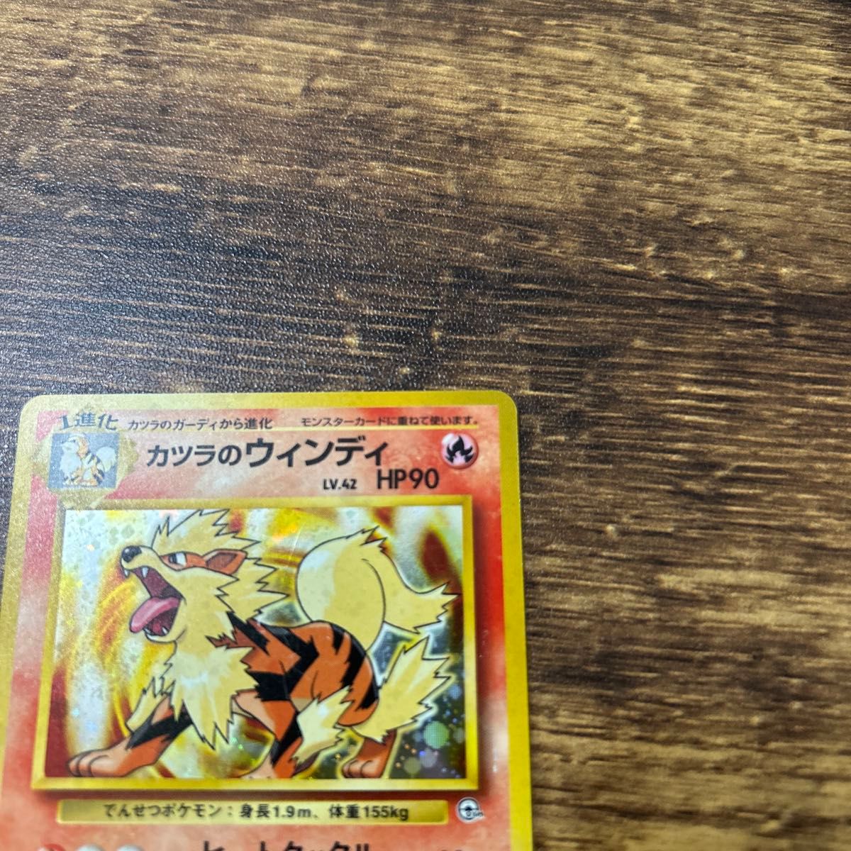 カツラのウィンディ ポケモンカード 旧裏面｜Yahoo!フリマ（旧PayPay