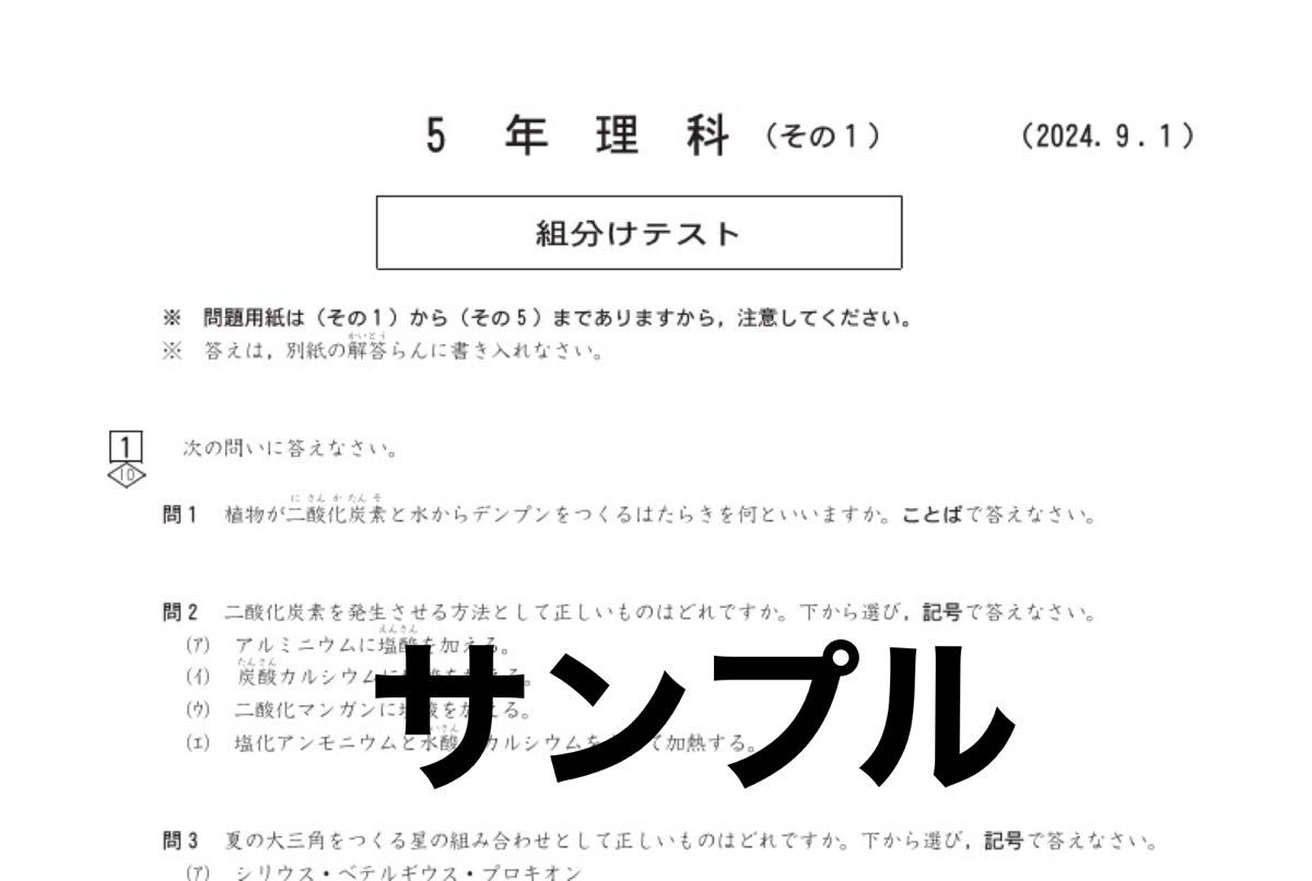 最新 2024年度 四谷大塚 5年生 組分けテスト 第5回〜9回 過去問
