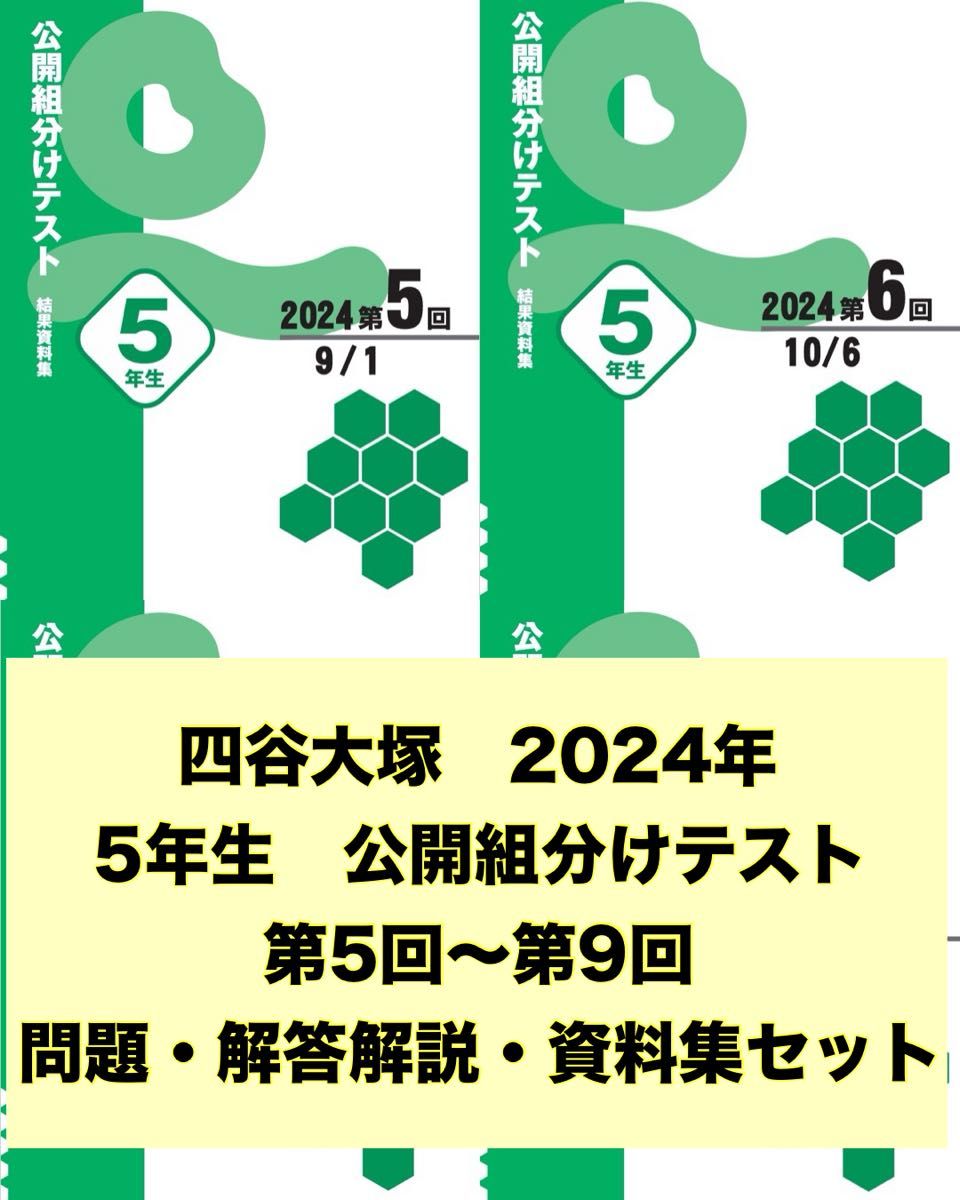 最新 2024年度 四谷大塚 5年生 組分けテスト 第5回〜9回 過去問