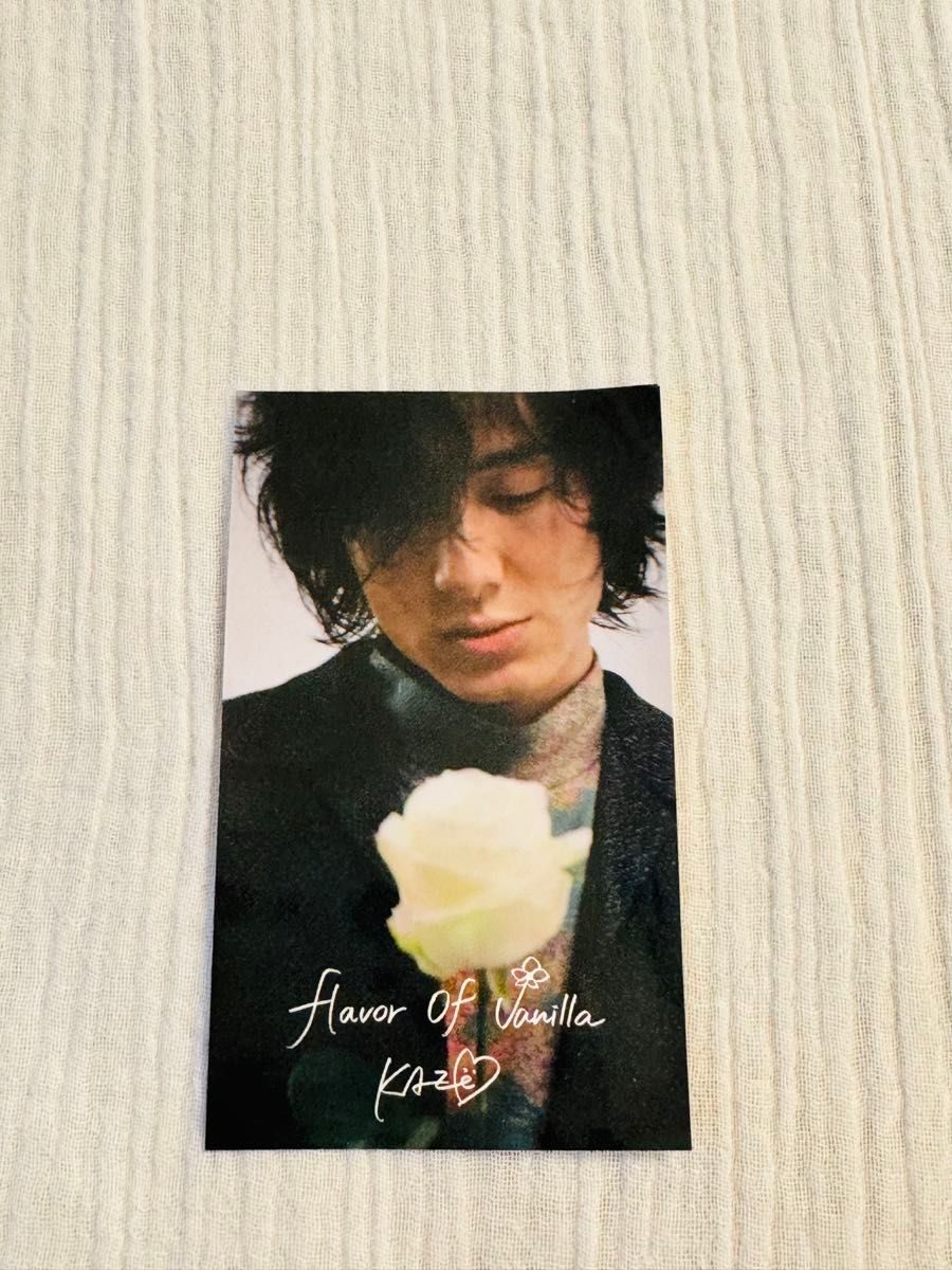 新品 藤井風 HEHNリップクリームカード2枚 藤井風 リップクリーム