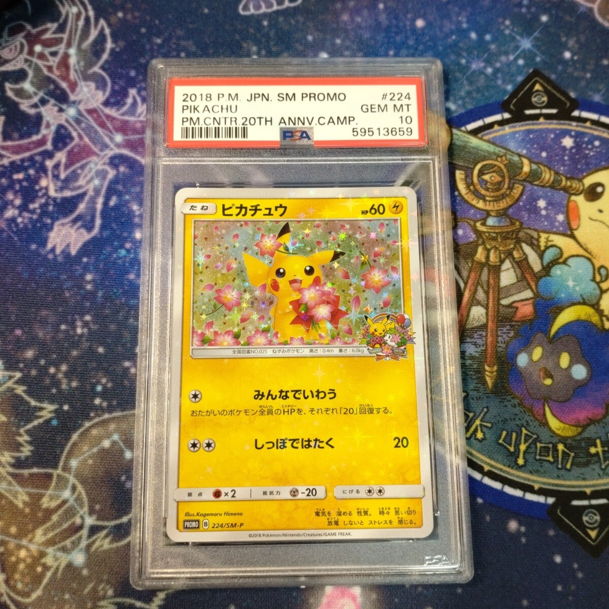 ポケモンカード ピカチュウ PSA10 プロモ みんなでいわう 224/SM-P