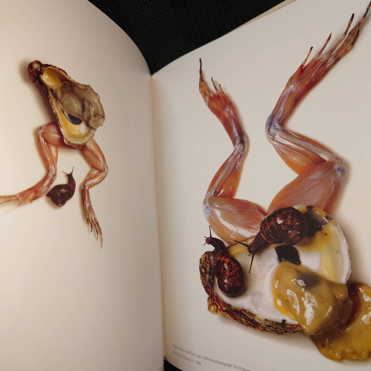 Yahoo!オークション - アーヴィング・ペン Still Life Irving Penn Ph