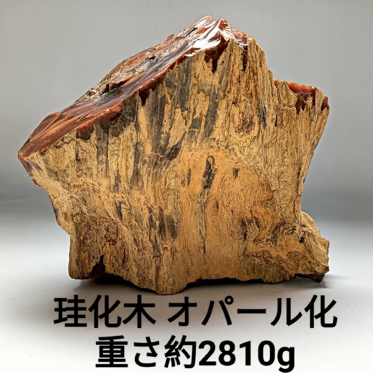 Yahoo!オークション - 【A3914】希少 珪化木 オパール化 始新世 天然