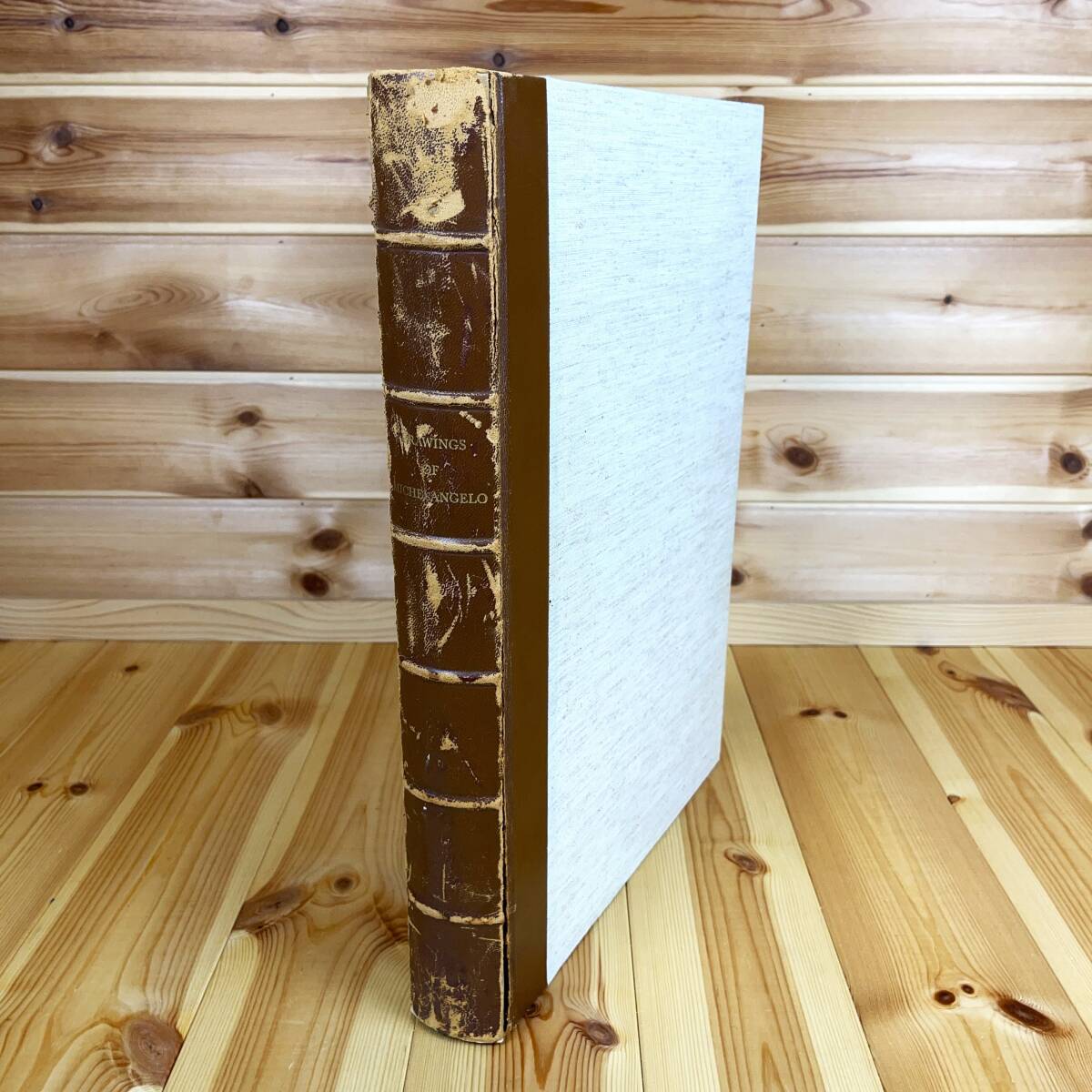 ミケランジェロ デッサン画集 「DRAWINGS OF MICHELANGELO 103