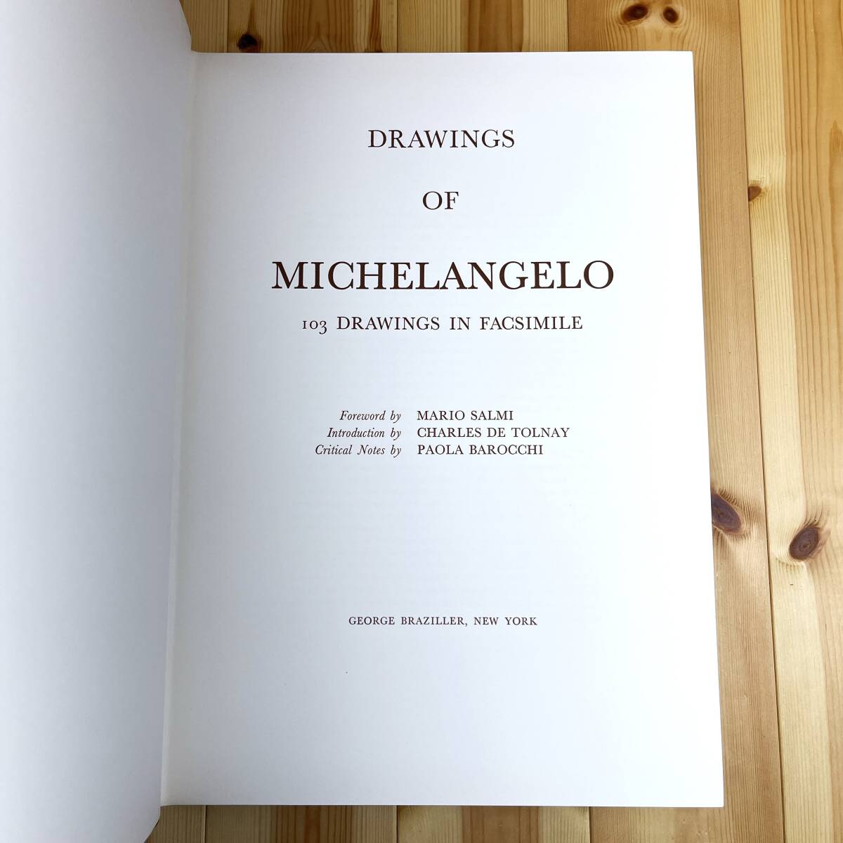 ミケランジェロ デッサン画集 「DRAWINGS OF MICHELANGELO 103
