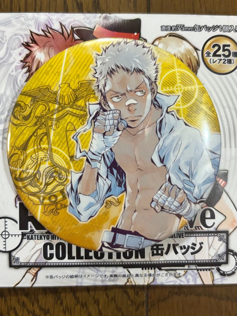 家庭教師ヒットマン REBORN 天野明展 コレクション缶バッジ 笹川了平