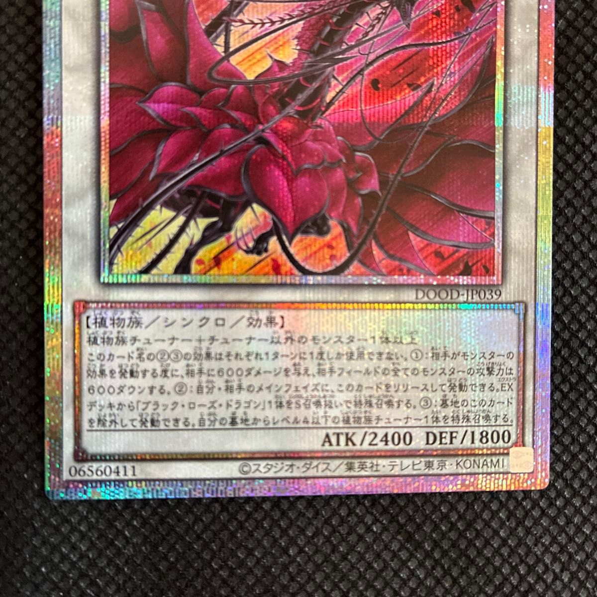 遊戯王 黒薔薇の破滅竜 ブランブルローズドラゴン プリズマ プリシク