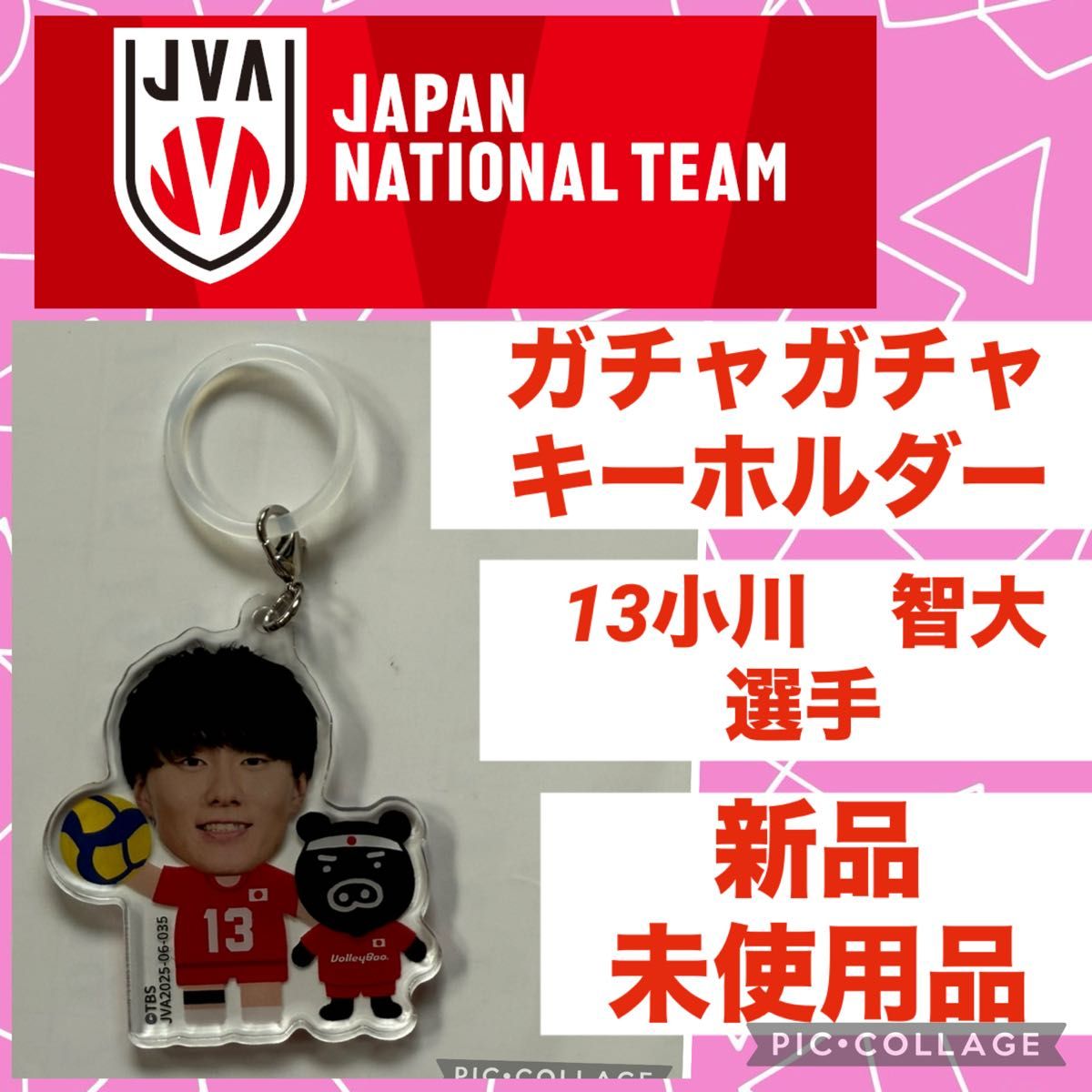 小川 智大 バレーボール 男子 日本代表 新品 ガチャガチャ