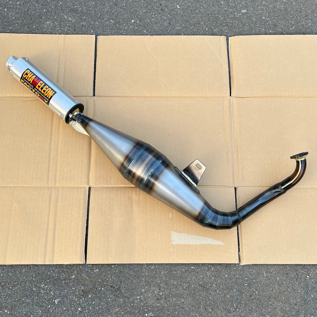 ライブディオ ZX パラライザーIII カメレオンファクトリー チャンバー