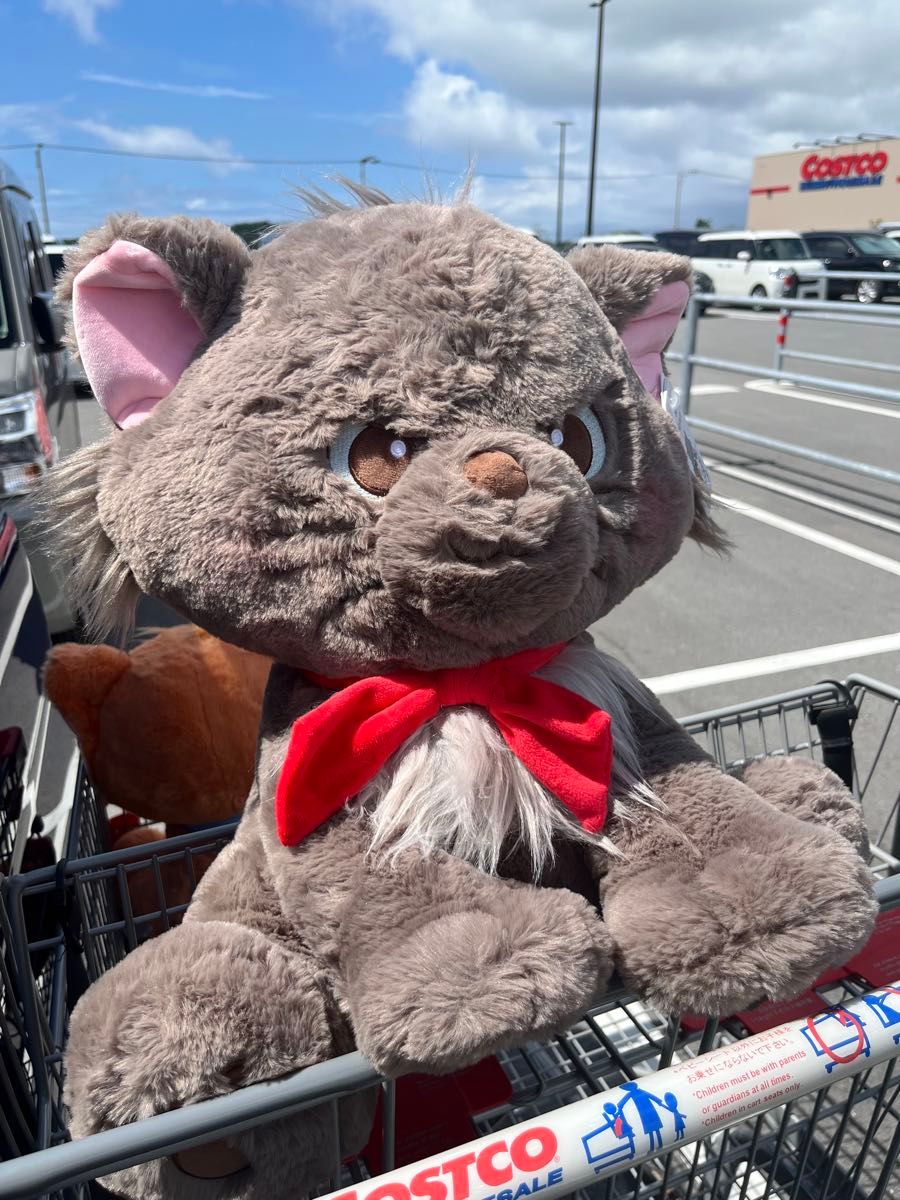 新品タグ付き ベルリオーズ ぬいぐるみ ブランケット 付き コストコ