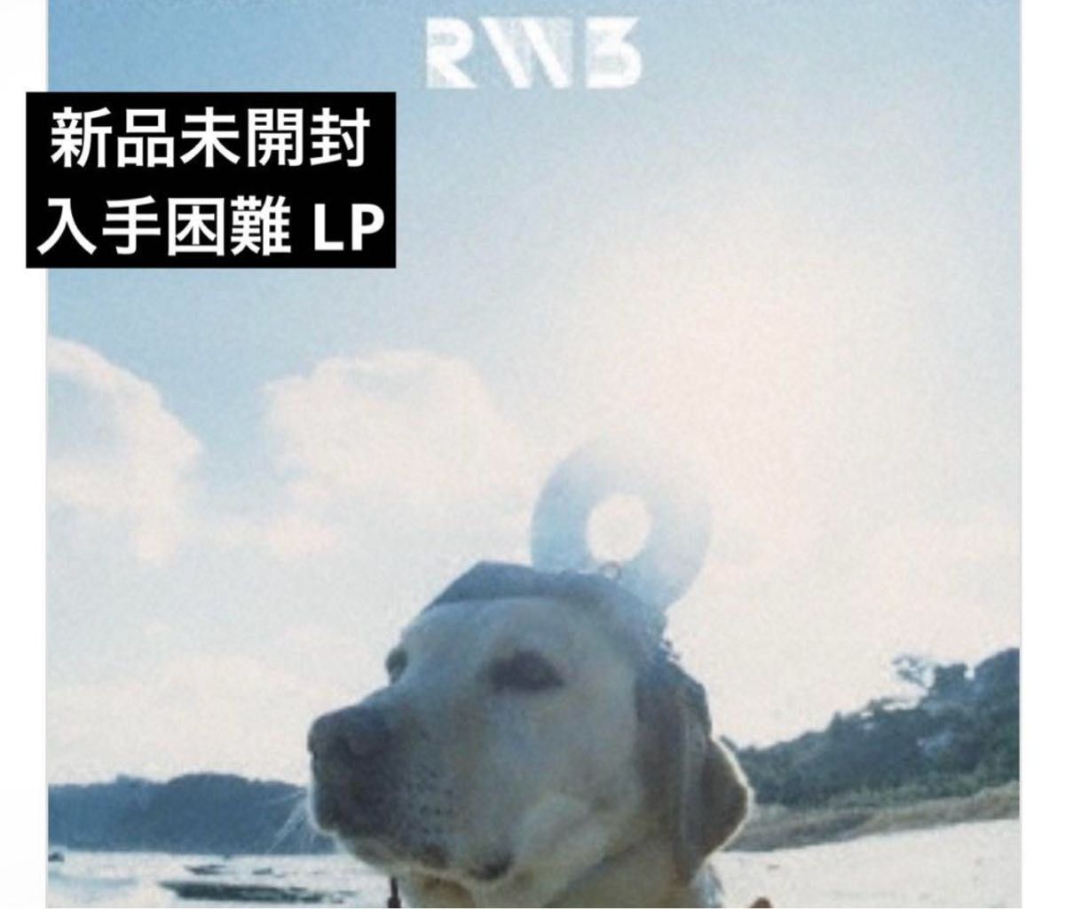 新品未開封】【レコード】RADWIMPS 3 ～無人島に持っていき忘れた一枚