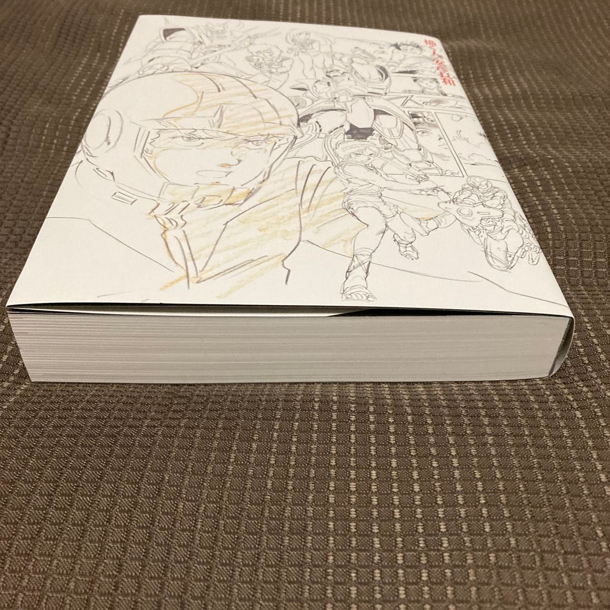 描く人 安彦良和 展覧会 公式図録｜Yahoo!フリマ（旧PayPayフリマ）