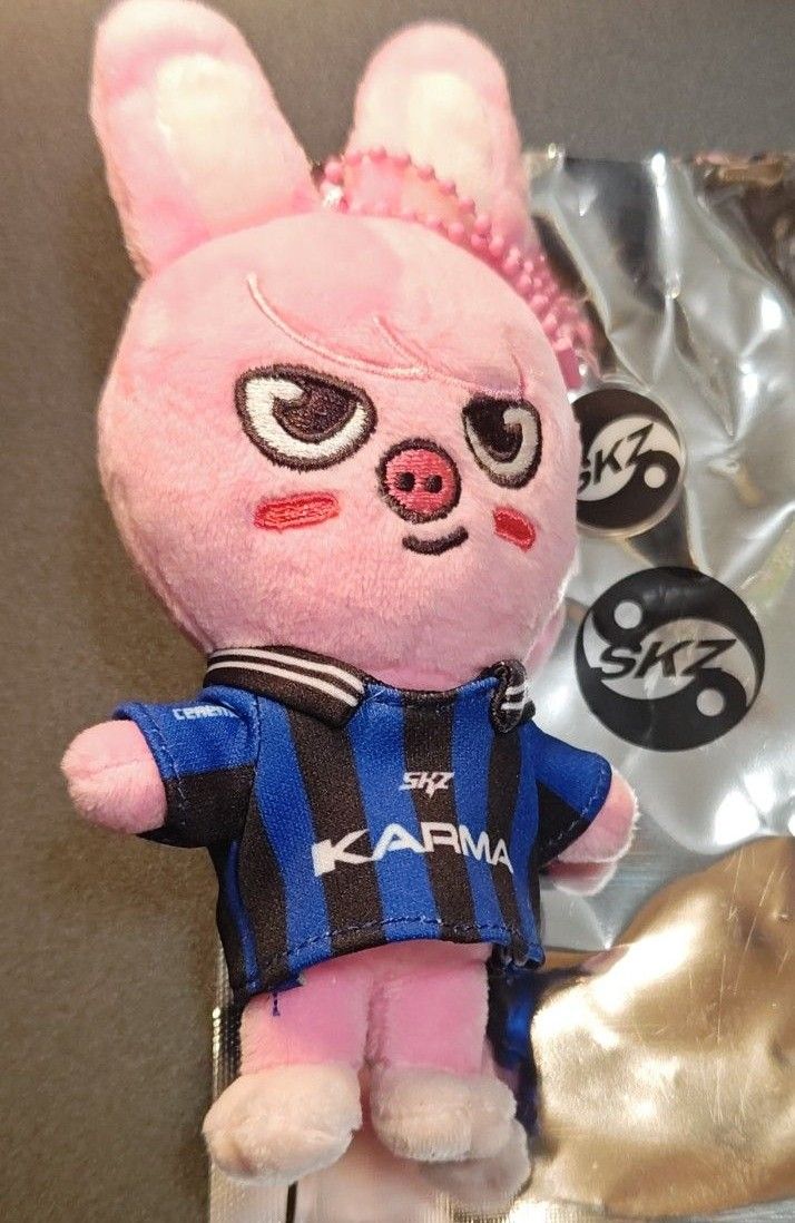 SKZOO テディベア チャンビン トゥエッキ