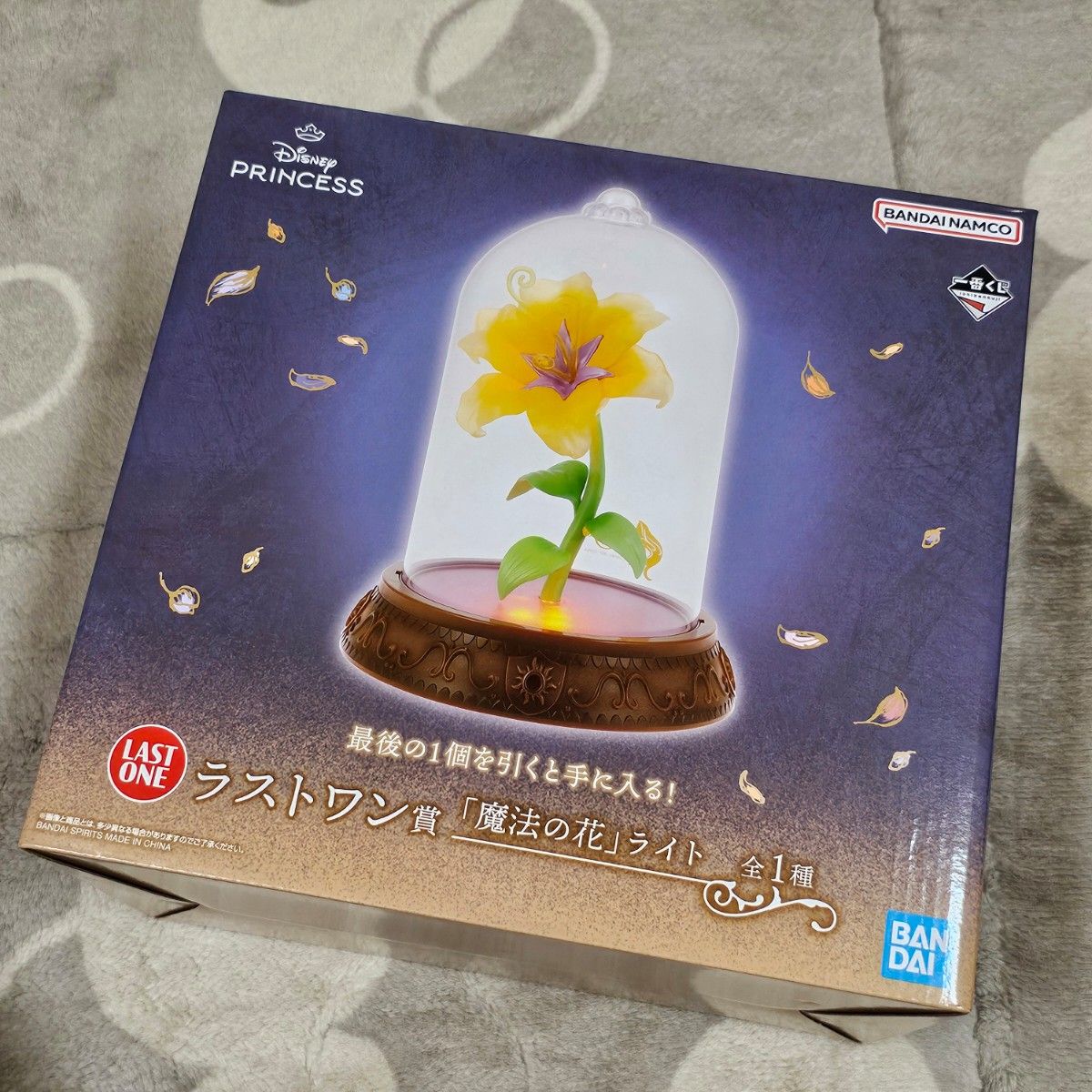 ディズニープリンセス 魔法の花ライトとミニキャンバスボード セット