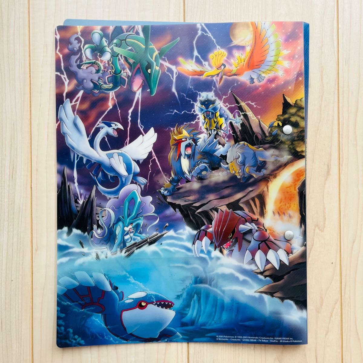 ポケパーク 2005限定 プレミアムファイル 9枚収録 ポケパーク 2005限定