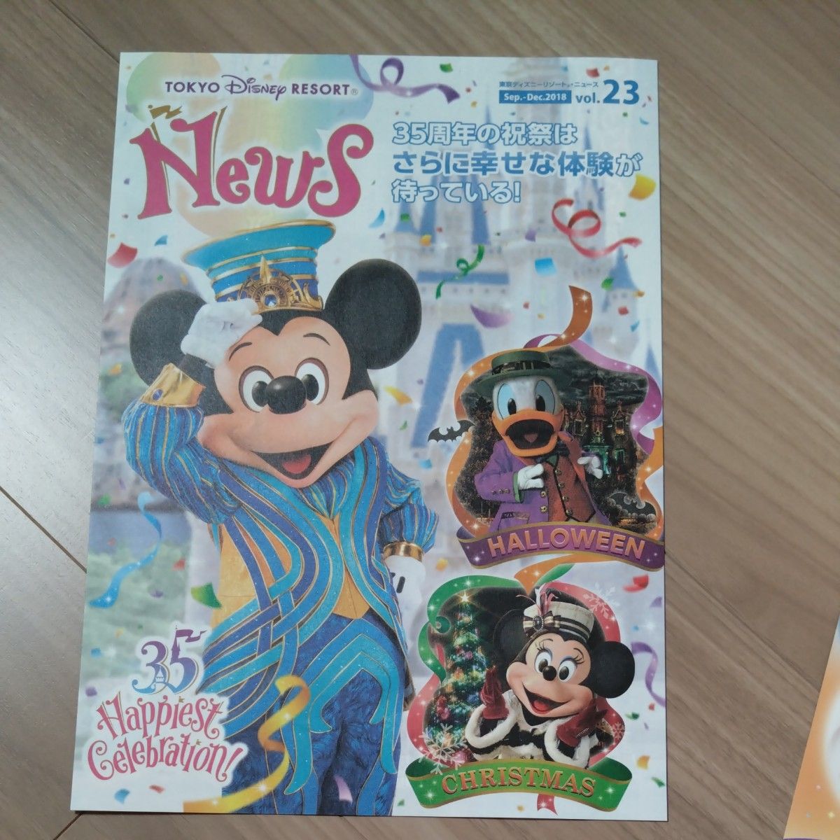 東京ディズニーリゾート 35周年 ダッフィー＆フレンズ フライヤー 3枚