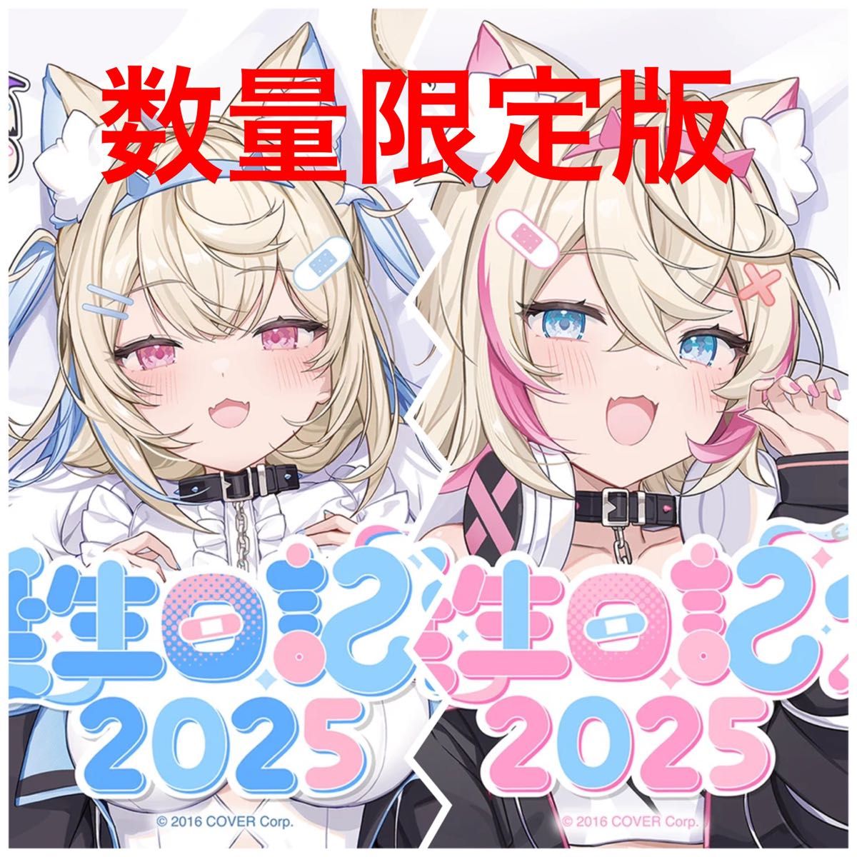 フワモコ 誕生日記念2025 フルセット 数量限定版 ホロカ付き FUWAMOCO