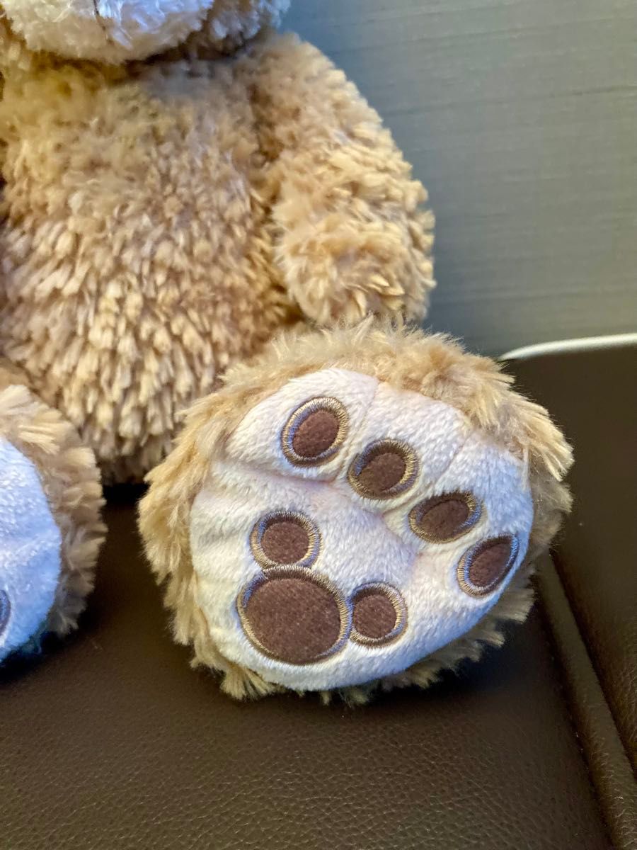 ディズニーシー ダッフィー シェリーメイ ぬいぐるみ 2体セット 送料込