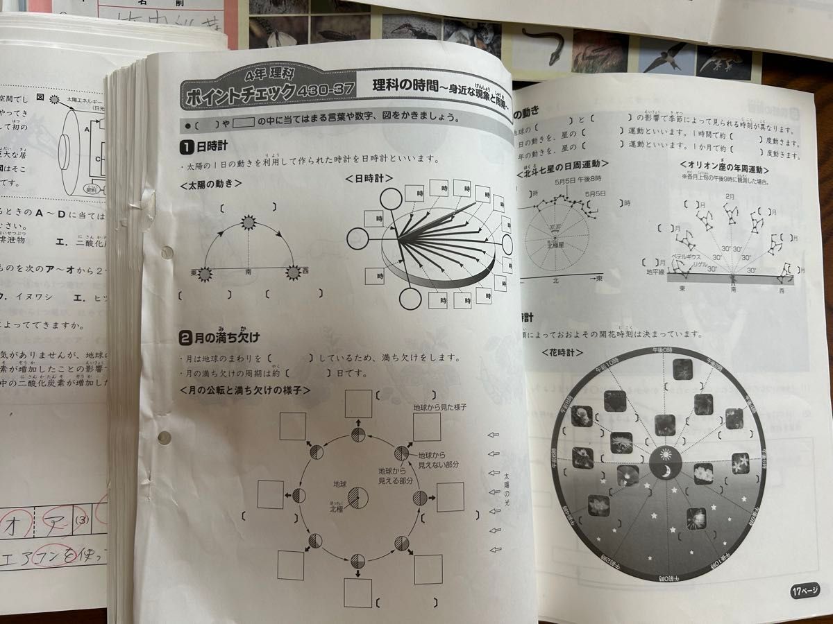 SAPIX 4年 理科 一年分 フルセット2015年 デイリーチェック スプリング