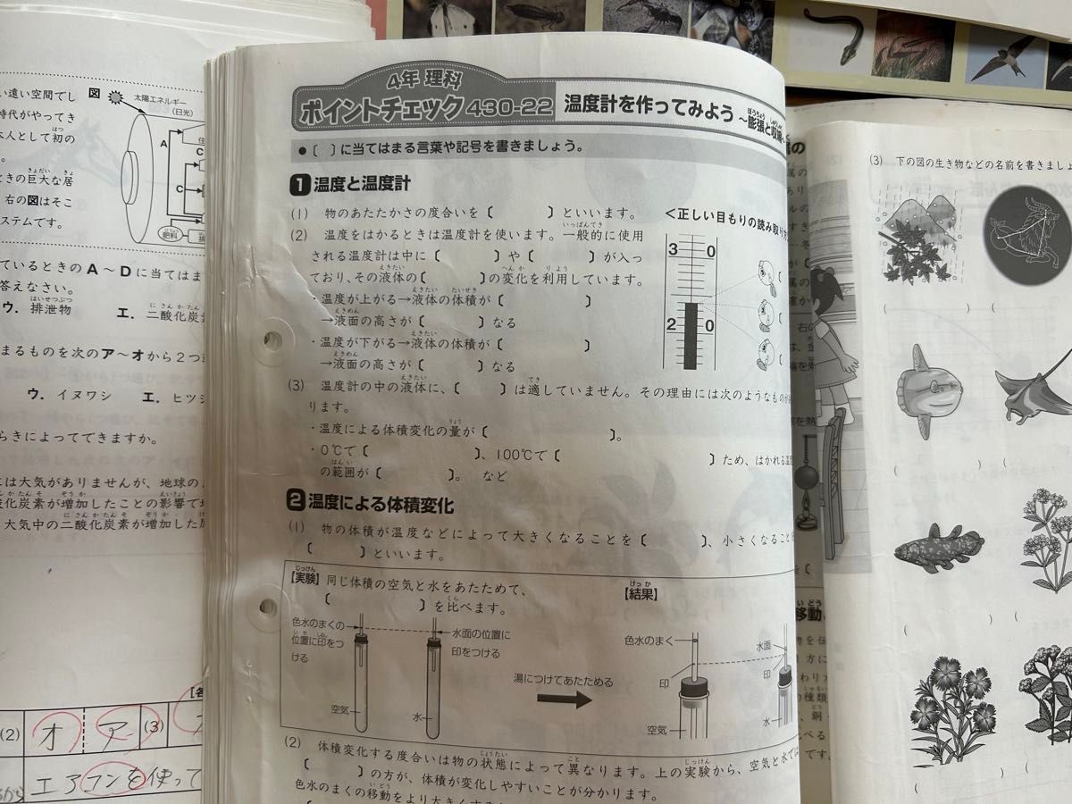 SAPIX 4年 理科 一年分 フルセット2015年 デイリーチェック スプリング