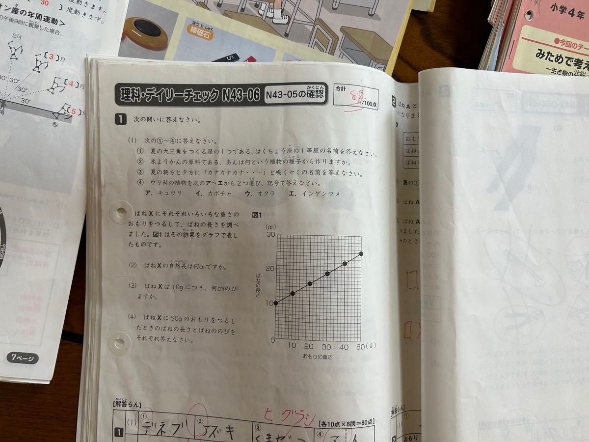 SAPIX 4年 理科 一年分 フルセット2015年 デイリーチェック スプリング