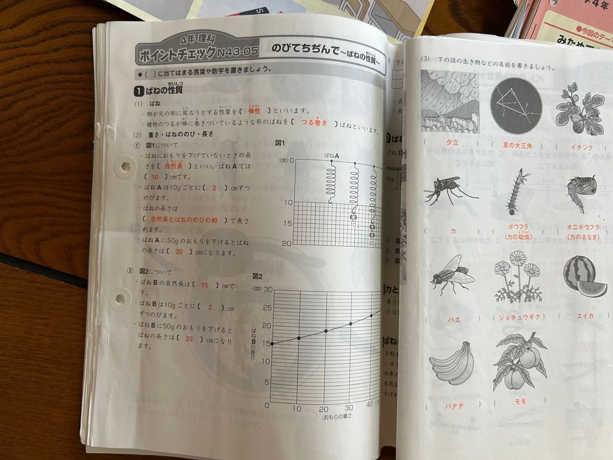 SAPIX 4年 理科 一年分 フルセット2015年 デイリーチェック スプリング