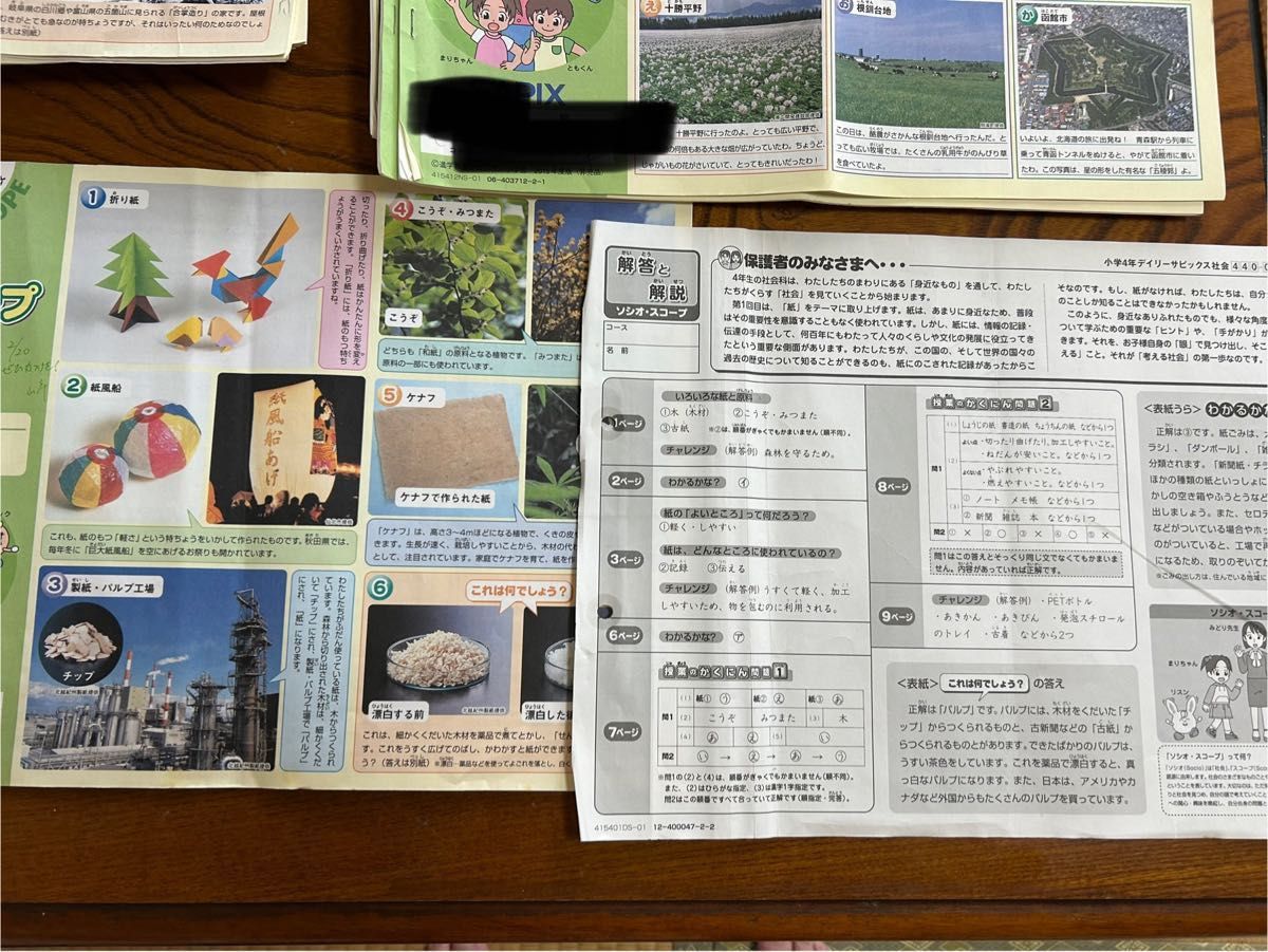 SAPIX 4年 社会 デイリー&春期＆夏期＆冬期フルセット 1年分 2015年